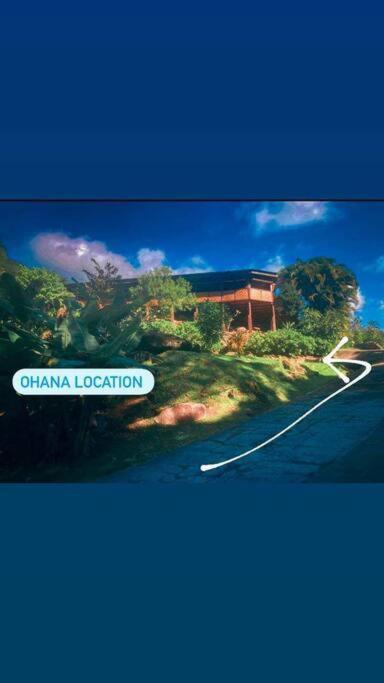 Ohana Location Ravissant Appart Spacieux Parking Gratuit A Uturoa Lejlighed Eksteriør billede